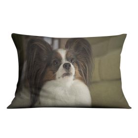 Beautiful male dog Papillon Cushion (Insert: With Insert, size: 16" X 16")