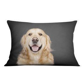 Golden Retriever isolated on grey Cushion (Insert: With Insert, size: 14" X 14")
