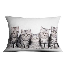 Group of five british shorthair kitten Cushion (Insert: Without Insert, size: 16" X 16")